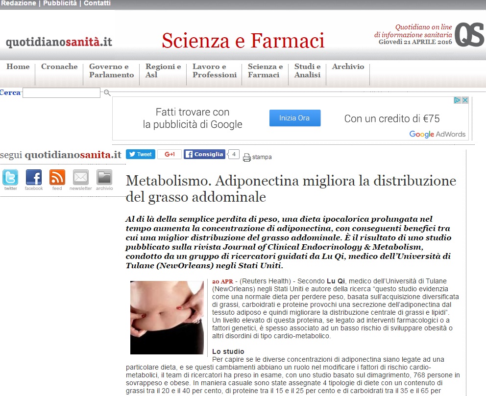 Adiponectina Migliora La Distribuzione Del Grasso Addominale